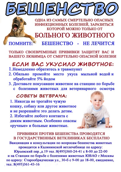 Плакат Бешенство Советы.jpg Плакат Бешенство Советы.jpg