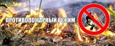 особый.jpg особый.jpg