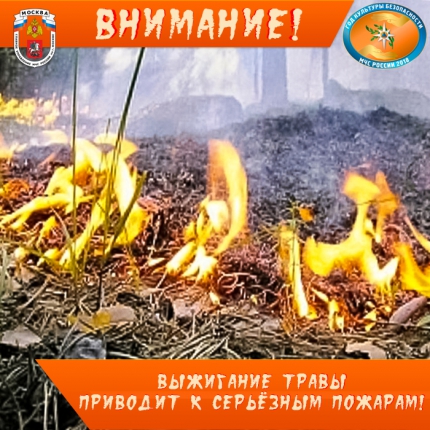 пал.jpg